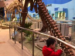 -陕西自然博物馆