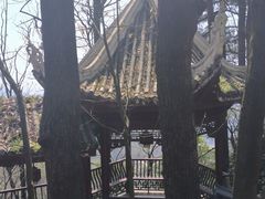 -贵州省植物园