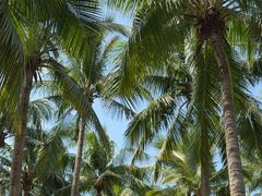 -牛排王糟粕醋火锅(海甸分店)