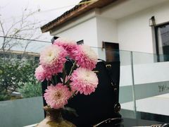 -云里小坐·小院里·团建·宴请·下午茶(三圣乡店)