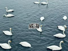 -刘公岛景区