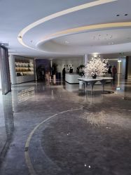 -广州美莱医疗美容医院