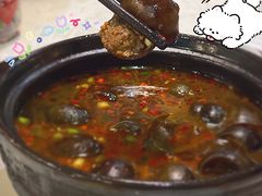 田螺嵌肉煲-阿龙酒煲(海宁新苑路店)