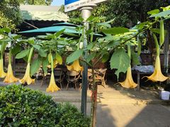 -听风阁农家私房菜茶楼(龙坞店)