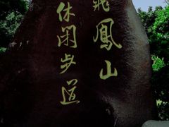 -飞凤山奥体公园
