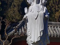 -泰山风景名胜区-普照寺