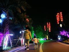 -枫香湖儿童公园