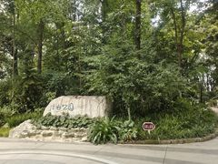 -成都市活水公园