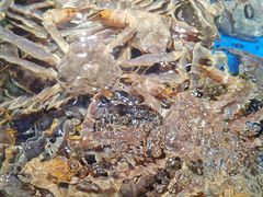 -蟹之国·精品蟹料理(极地店)