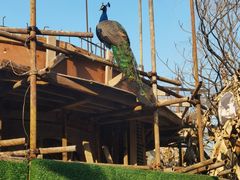 -金庭庄园酒店-停车场