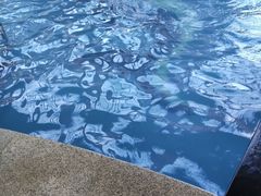 -中家鑫园温泉酒店鑫悦汤泉