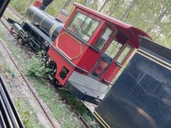 -合肥滨湖国家森林公园