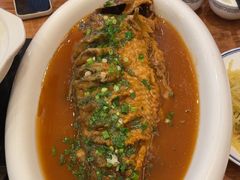 -老雒阳面馆·水席·洛阳菜(王城路店)