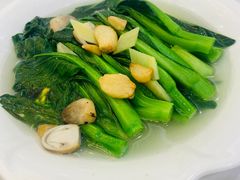 盐水菜心-金华安大酒楼·老牌潮菜·粤式茶点(东方国际店)
