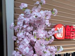 -極屋鮨牛 · 烧肉酒场(时代C馆店)
