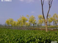 -白塘生态植物园