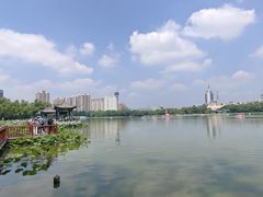 -莲花池公园