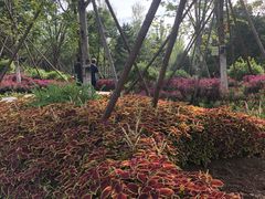 -回龙观体育文化公园