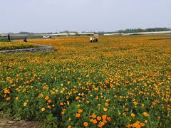 -江苏三台山国家森林公园