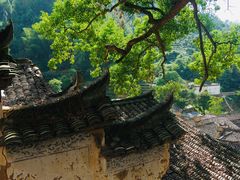 -杨家堂村