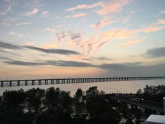 -宝安西湾红树林湿地公园