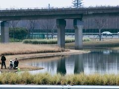 -贡湖湾湿地公园