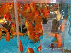 -辣得叫湘菜(四明店)