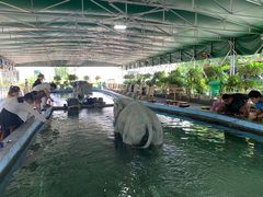 -光头佬钓虾场·烧烤·聚餐·亲子(金沙洲店)