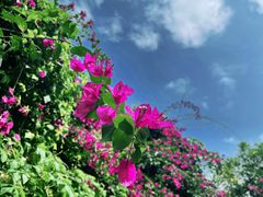 -白沙门生态公园