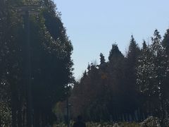 -五甲塘生态湿地公园