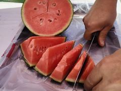 -庞各庄翠芳园西瓜蔬菜基地采摘园