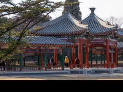 -小大董·烤鸭(观景餐厅·南京西路店)