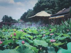-广州莲花山旅游区