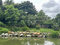 -石排湾郊野公园
