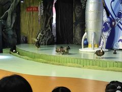 -萌宠奇缘(荣鼎店)