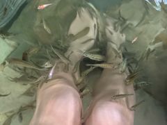 -天目湖涵田半山温泉水乐园