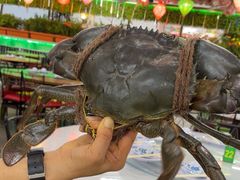 -無招牌海鮮(芽笼店)