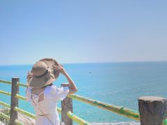 -广东惠东海龟国家级自然保护区