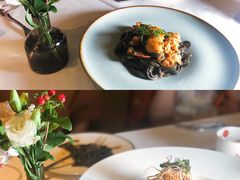 -蝶舍·MAISON PAPILLON