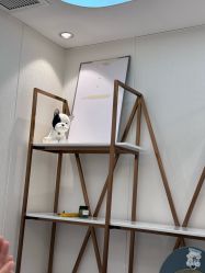 -广州曙光医学美容医院