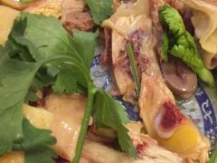 -九斤黄三黄鸡专卖店