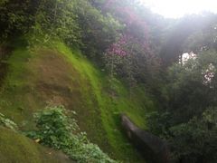 -厦门国家会计学院