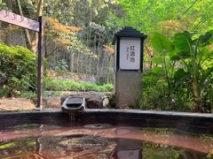 -融汇温泉