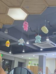 -心联形象设计·流星染