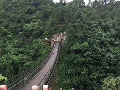 -娄山关景区