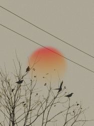 -Oasis Beauty水磨坊科技美肤中心