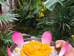 -菌自由丨野生菌火锅特色庭院餐厅(丽江古城店)