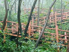 -大岭沟猕猴桃谷风景区