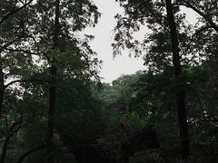 -忠山公园