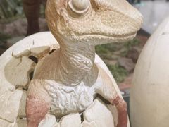 -湖南省地质博物馆